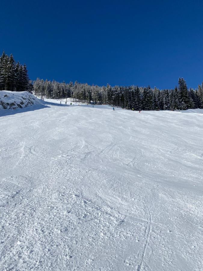 Appartements By Chalet Reiteralm -Sommercard Schladming Ngoại thất bức ảnh