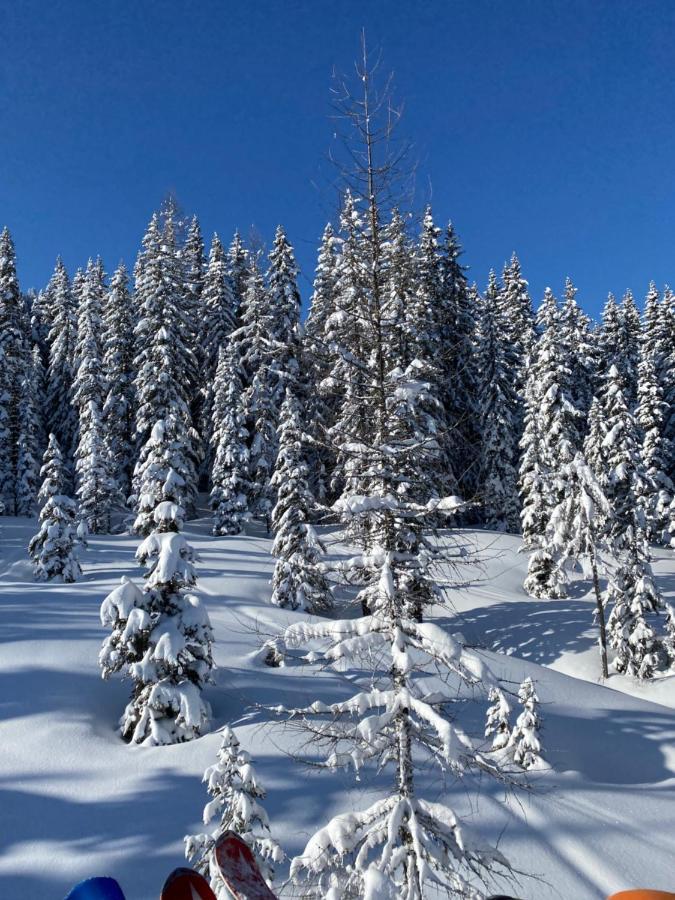 Appartements By Chalet Reiteralm -Sommercard Schladming Ngoại thất bức ảnh
