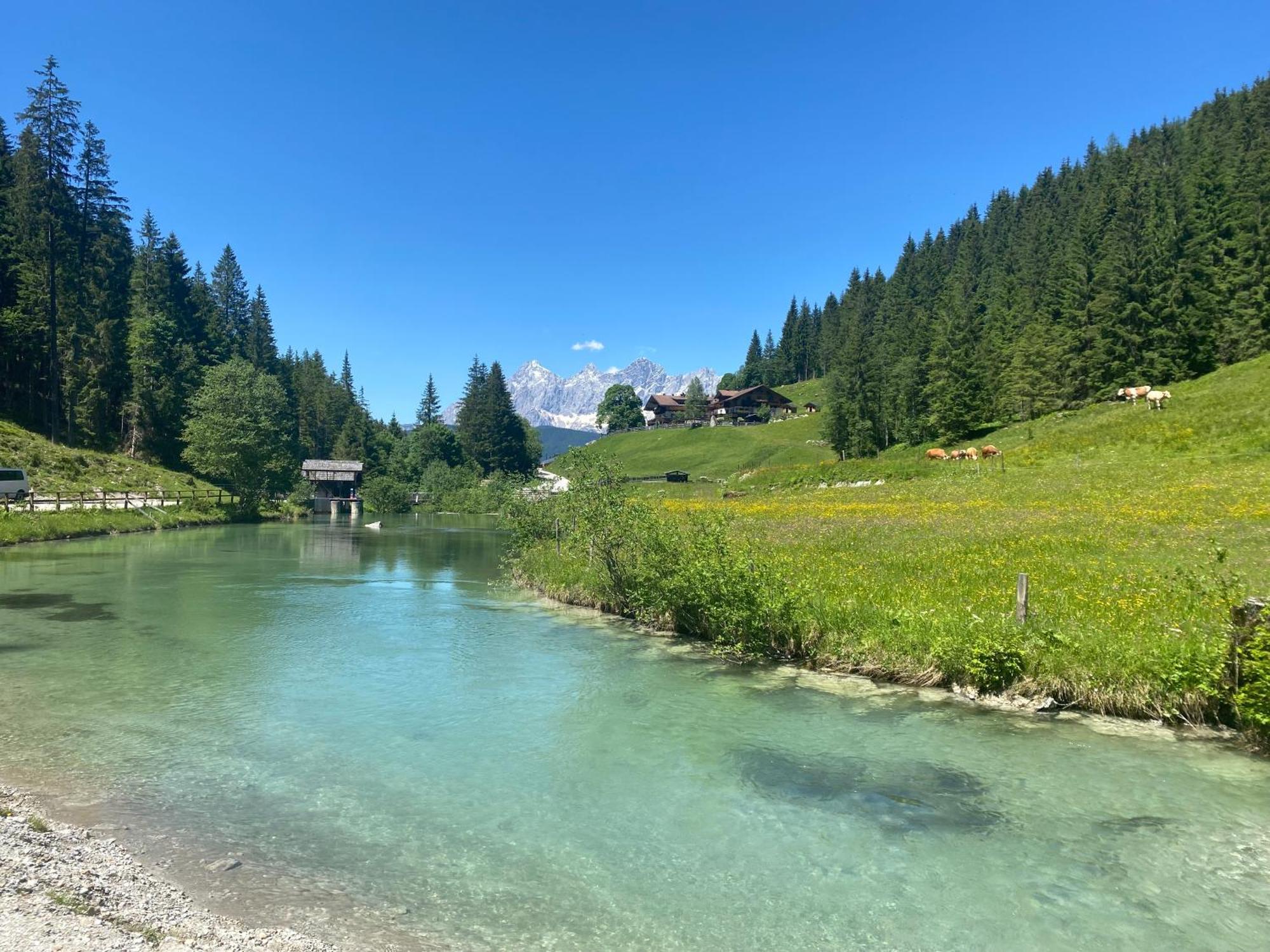 Appartements By Chalet Reiteralm -Sommercard Schladming Ngoại thất bức ảnh