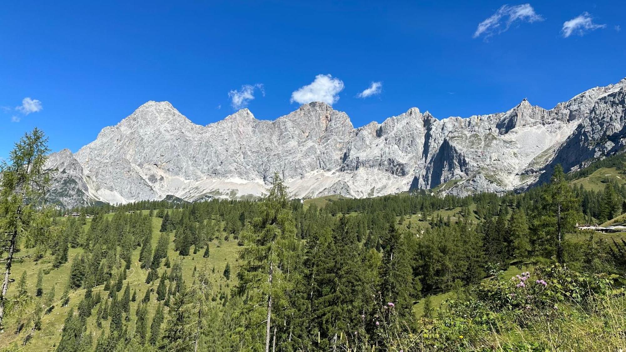 Appartements By Chalet Reiteralm -Sommercard Schladming Ngoại thất bức ảnh