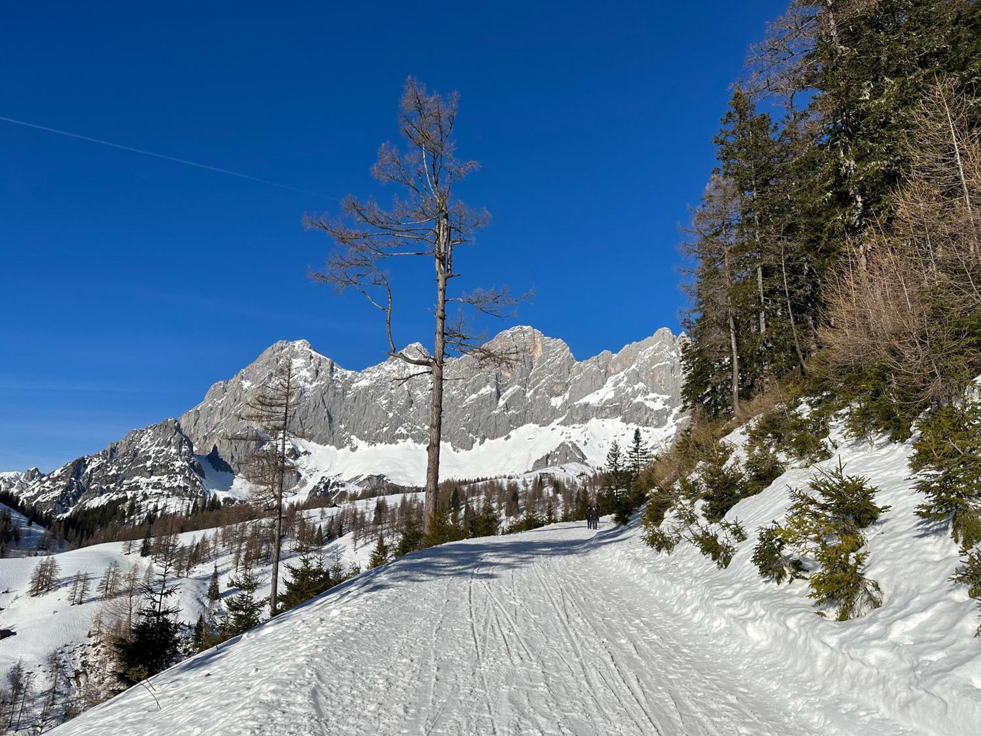 Appartements By Chalet Reiteralm -Sommercard Schladming Ngoại thất bức ảnh